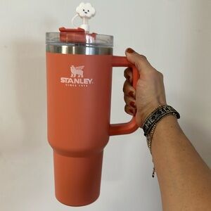 40 oz Stanley (soft matte)